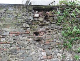 An der Stadtmauer zeigen sich Schäden durch im Mauerwerk wachsenden Efeu (vor 4 Monaten entfernt). Foto: Stadt Offenburg